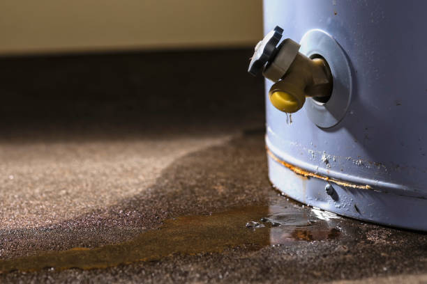 Best Water damage restoration insurance claims  in Newmanstown, PA