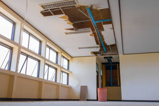 Best Ceiling water damage repair  in Newmanstown, PA