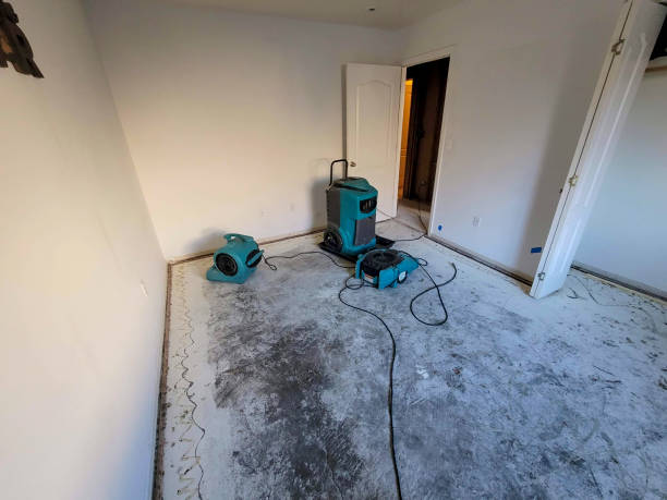 Best Carpet water damage restoration  in Newmanstown, PA