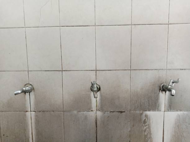 Best Mold removal after water damage  in Newmanstown, PA