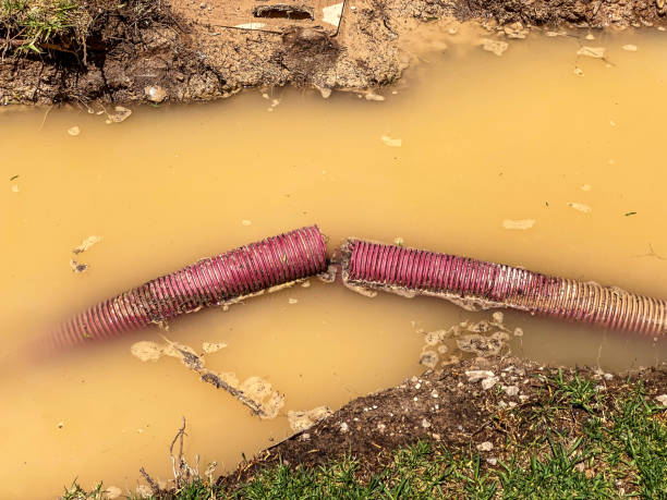 Best Flood damage cleanup  in Newmanstown, PA