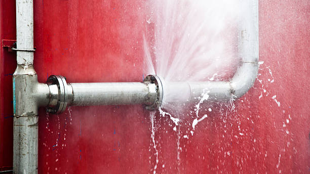 Best Water damage restoration near me  in Newmanstown, PA